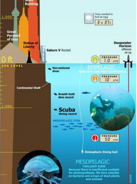 Infographic Of The Day Tallest Mountain To Deepest Ocean Trench