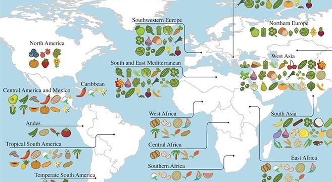 Fascinating Map Details The Exact Centers Of Origin Of All The World s 