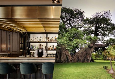 The Sunland Baobab Tree Pub in South Africa and ZONARS cafe in Athens Greece